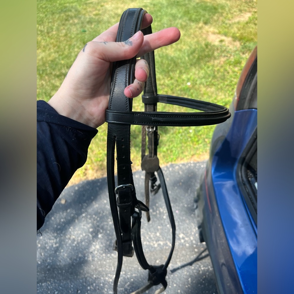 Vespucci Figure Eight Bridle Black